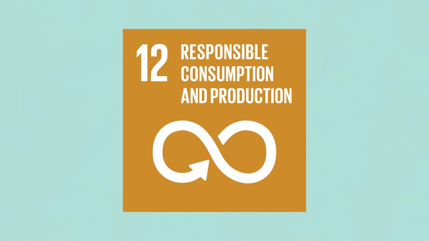 Graphic representation of UN Sustainable Development Goal 12: Responsible Consumption and Production